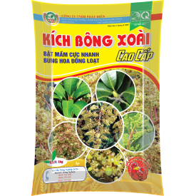 Kích Bông Xoài Cao Cấp