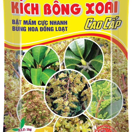 Kích Bông Xoài Cao Cấp