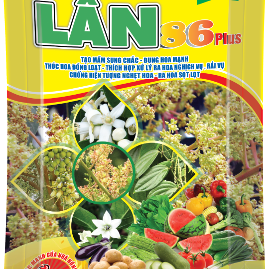 Lân 86