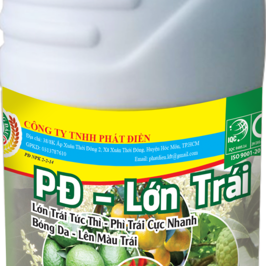 Lớn Trái 500ml