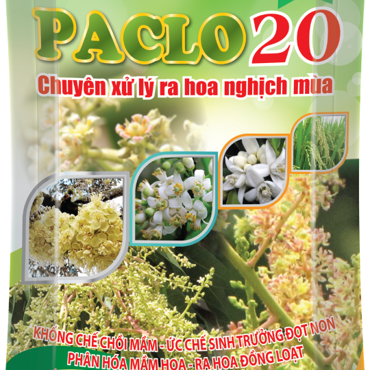 Paclo 20