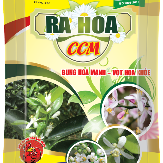 Ra hoa CCM