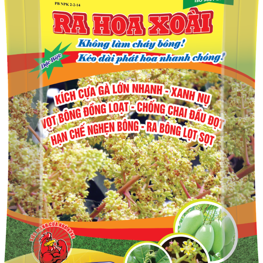 Ra Hoa Xoài 500g