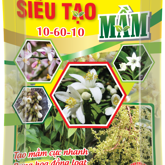 Siêu tạo mầm