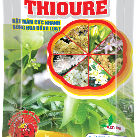 Thioure