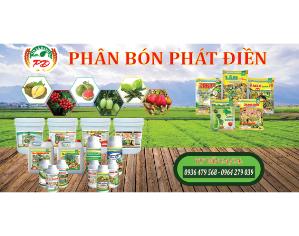 Công ty TNHH Phát Điền